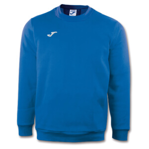 Sweatshirt (Kopie)